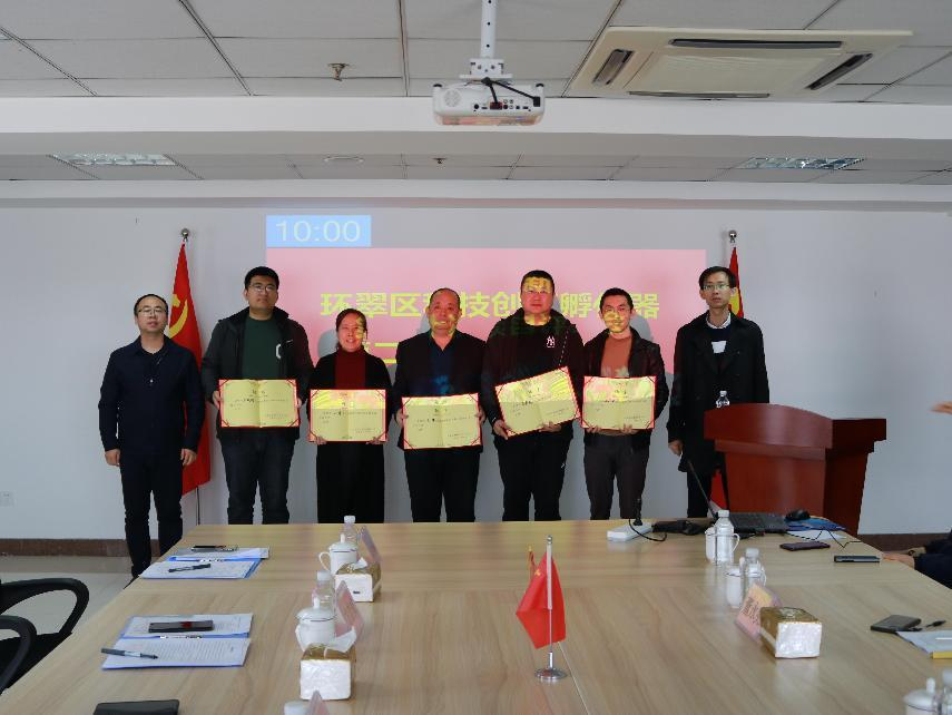 以数字产业点燃区域高质量发展引擎 企业孵化与咨询服务协同赋能